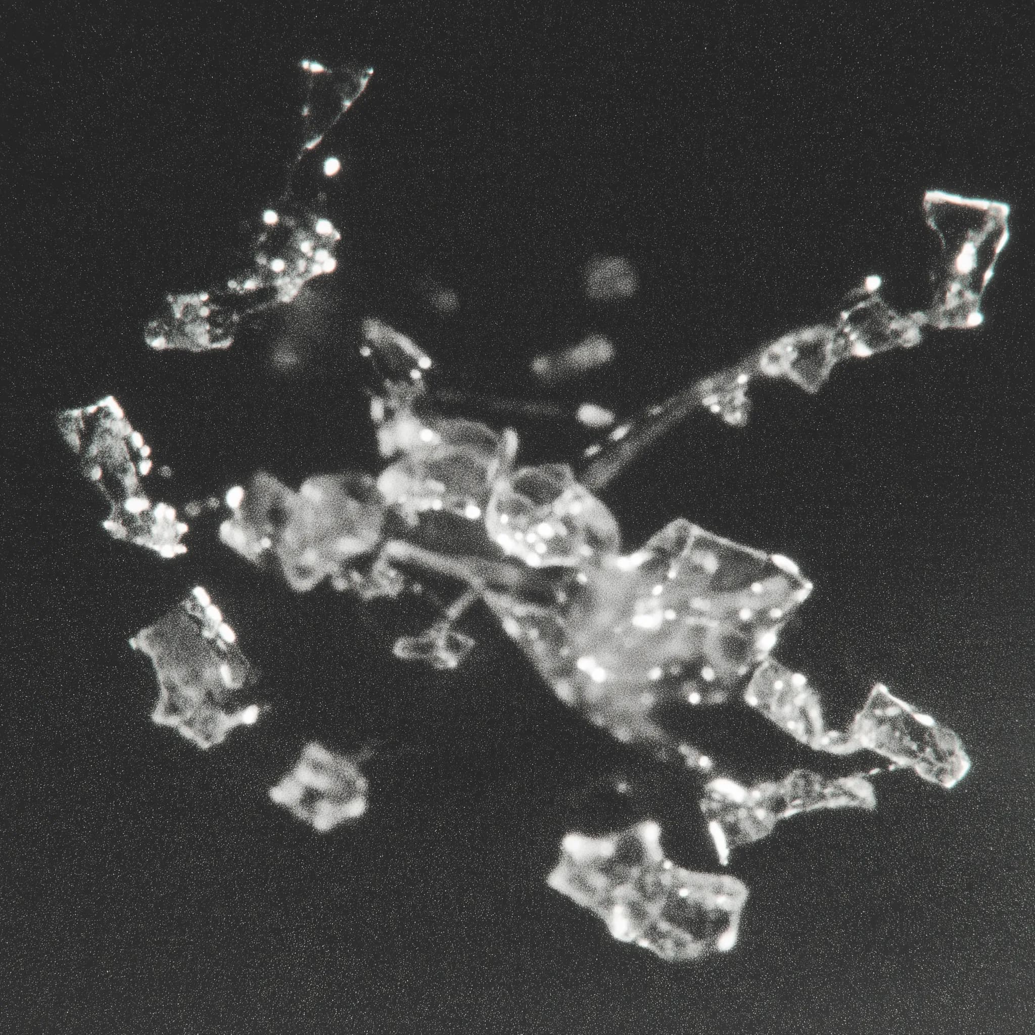 glass