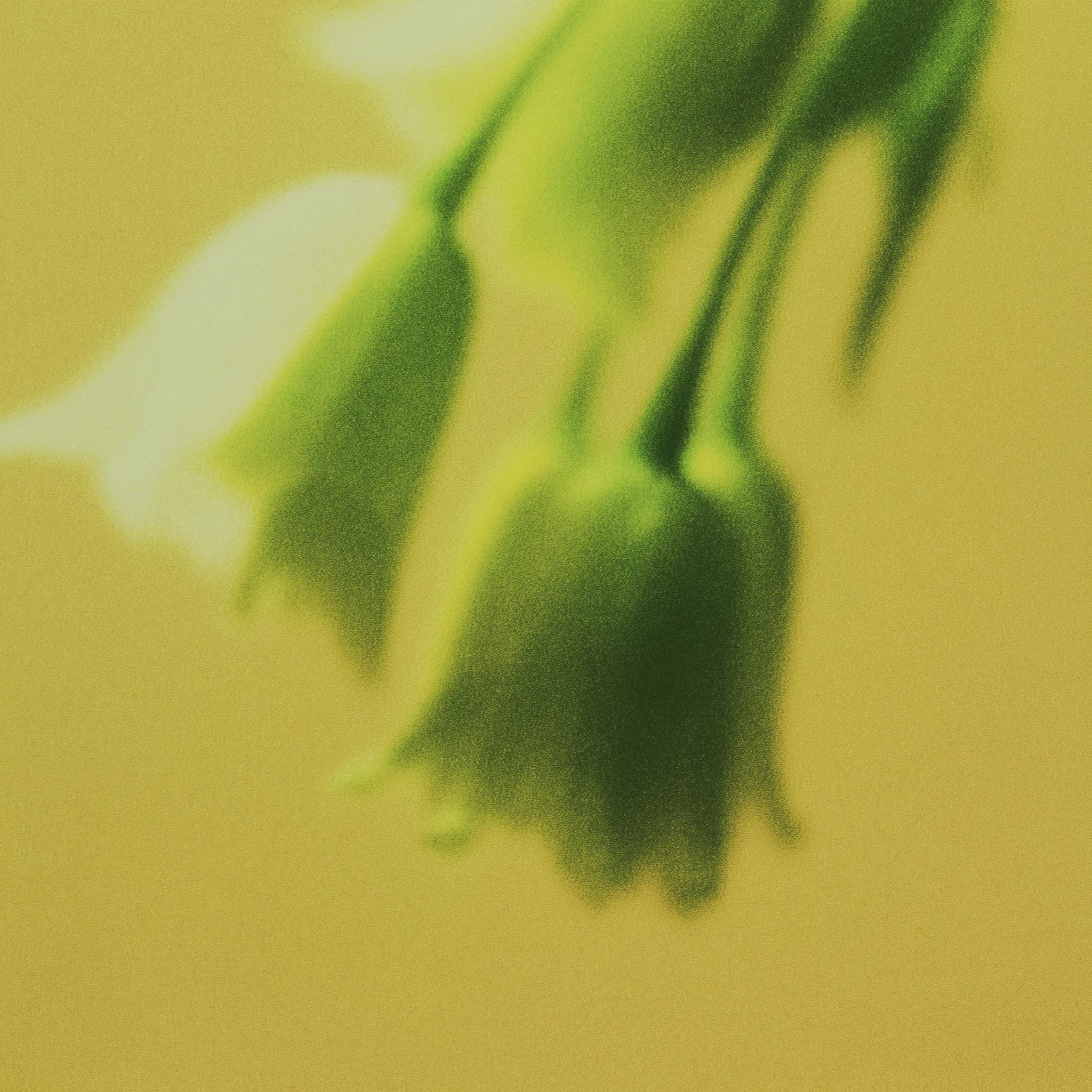 botanicals